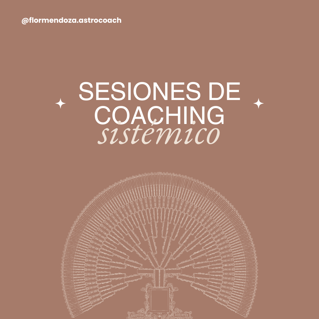 Sesión de coaching sistémico (presencial)